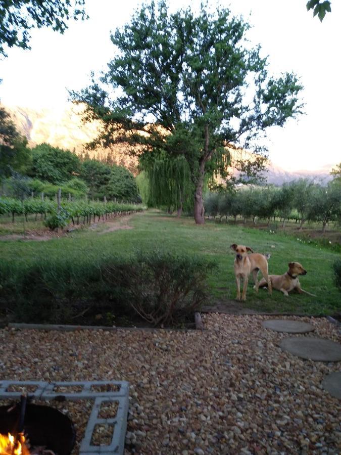 Cabernet Cottage Be Still And Know Franschhoek Exterior foto