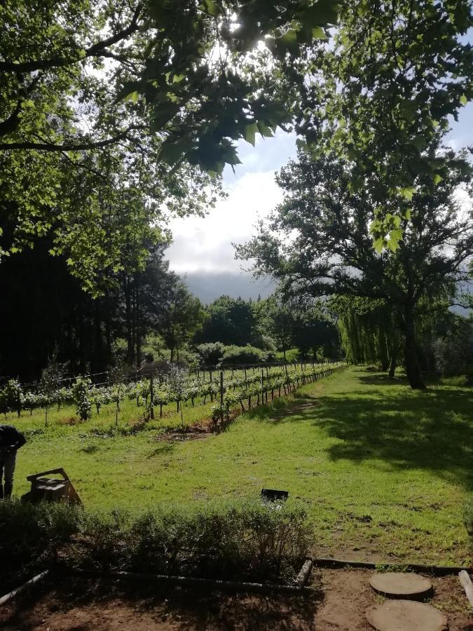 Cabernet Cottage Be Still And Know Franschhoek Exterior foto