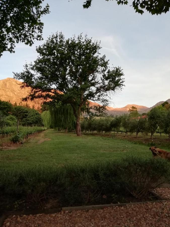 Cabernet Cottage Be Still And Know Franschhoek Exterior foto